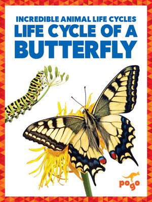 cover image of Life Cycle of a Butterfly